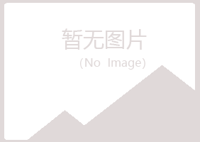 吴川小夏能源有限公司